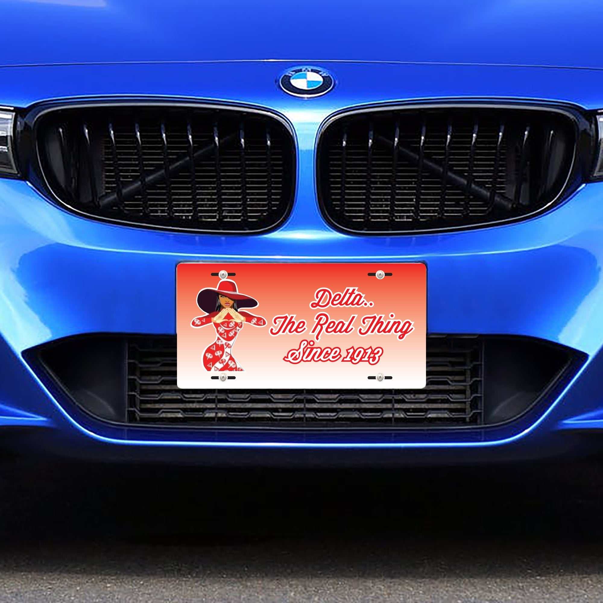 Delta Sigma Theta License Plate- Delta Vanity License Plate- Sorority Accessories Gift- Car License Plate- Car number plate
