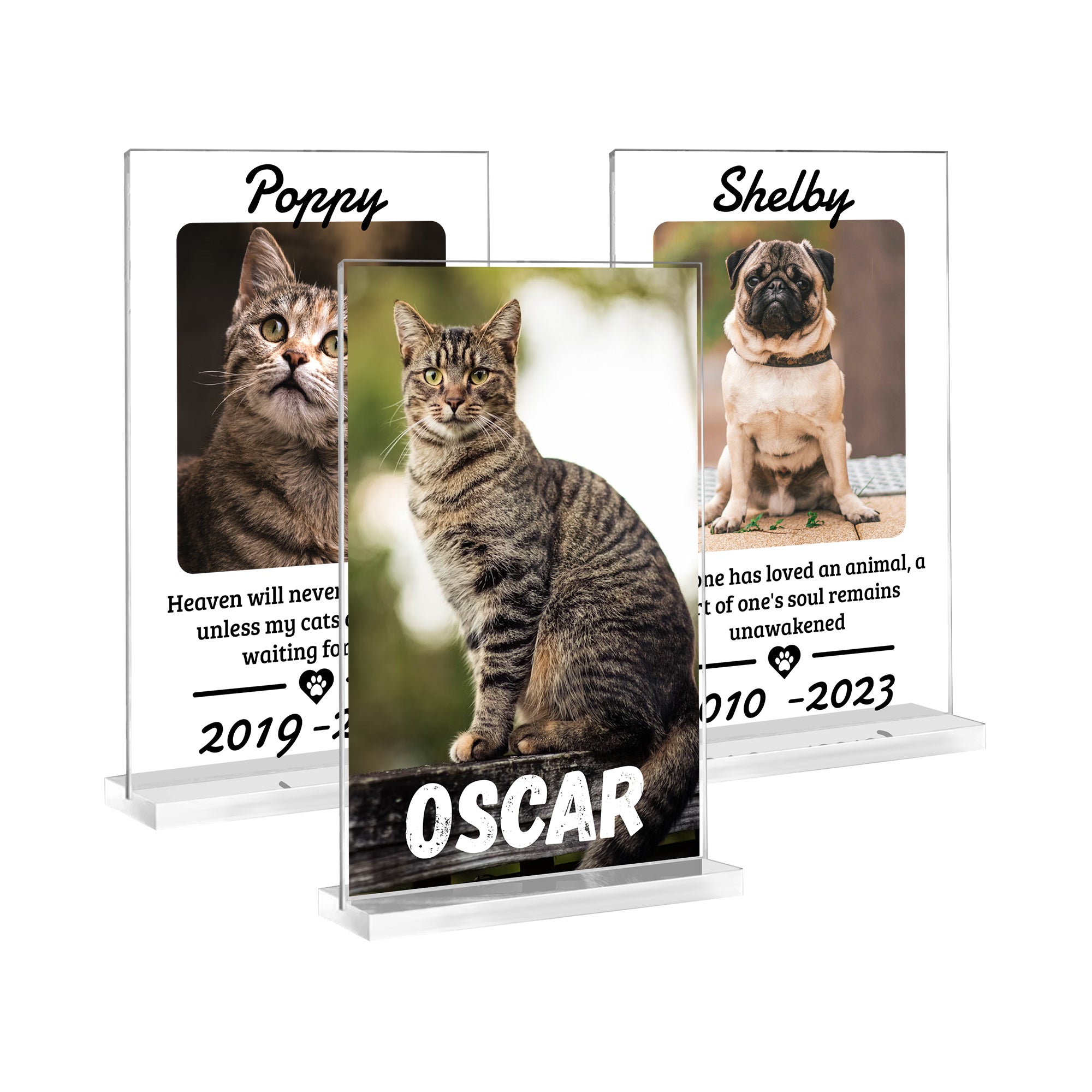 MIRACLE PRINTS Personalized Acrylic Pet Sign - Clear and Elegant Acrylic Pet Décor for Home & Office - Customizable Pet Name Sign - Perfect for Celebrating Your Furry Friend - Personalized Sign for Your Pets, Personalized 7x4.5 Inch Acrylic Sign