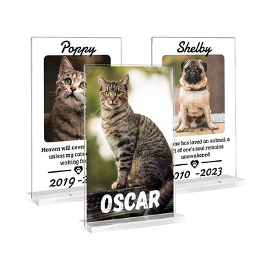 MIRACLE PRINTS Personalized Acrylic Pet Sign - Clear