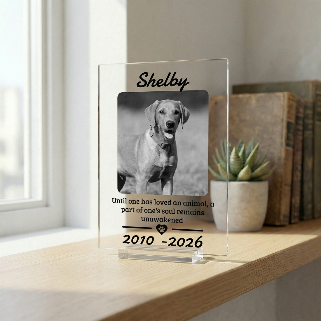 Letrero acrílico personalizado con código QR | Expositor de mesa transparente para negocios – Letrero de Wi-Fi o placa de texto personalizado