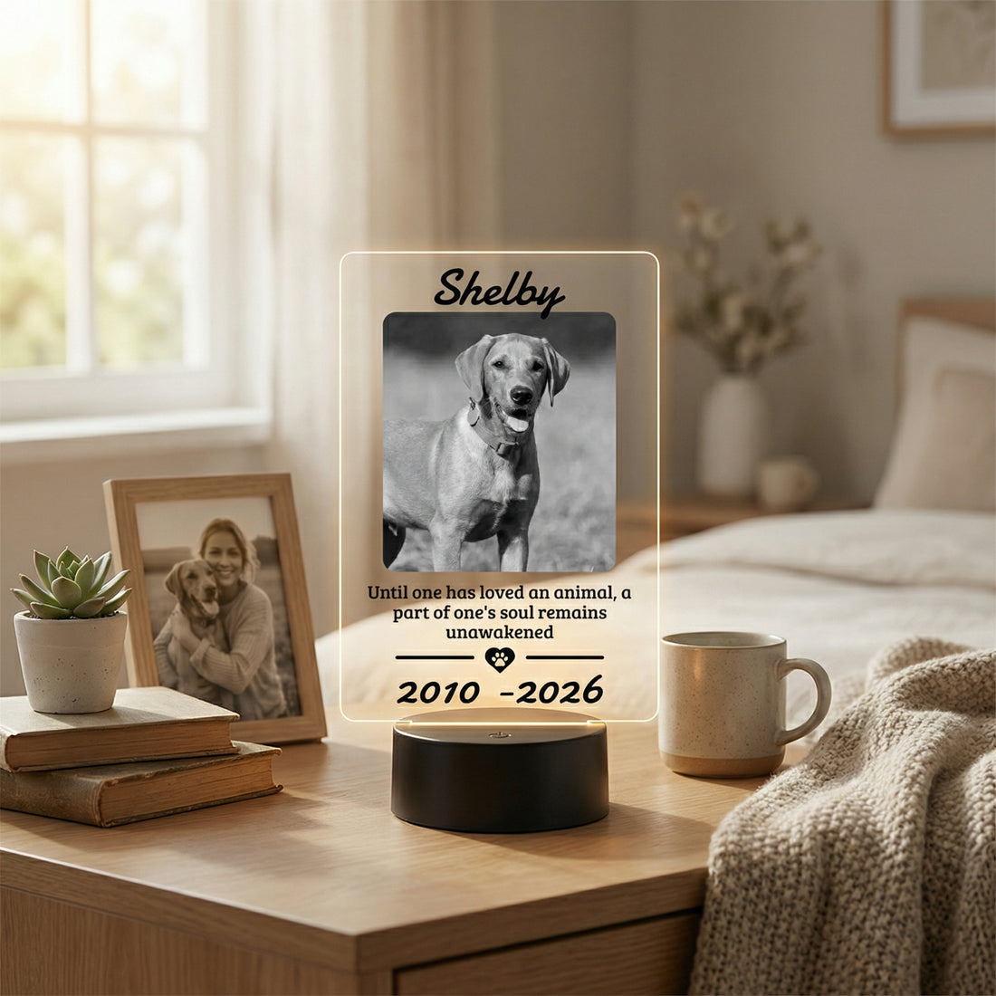 Letrero acrílico personalizado con código QR | Expositor de mesa transparente para negocios – Letrero de Wi-Fi o placa de texto personalizado