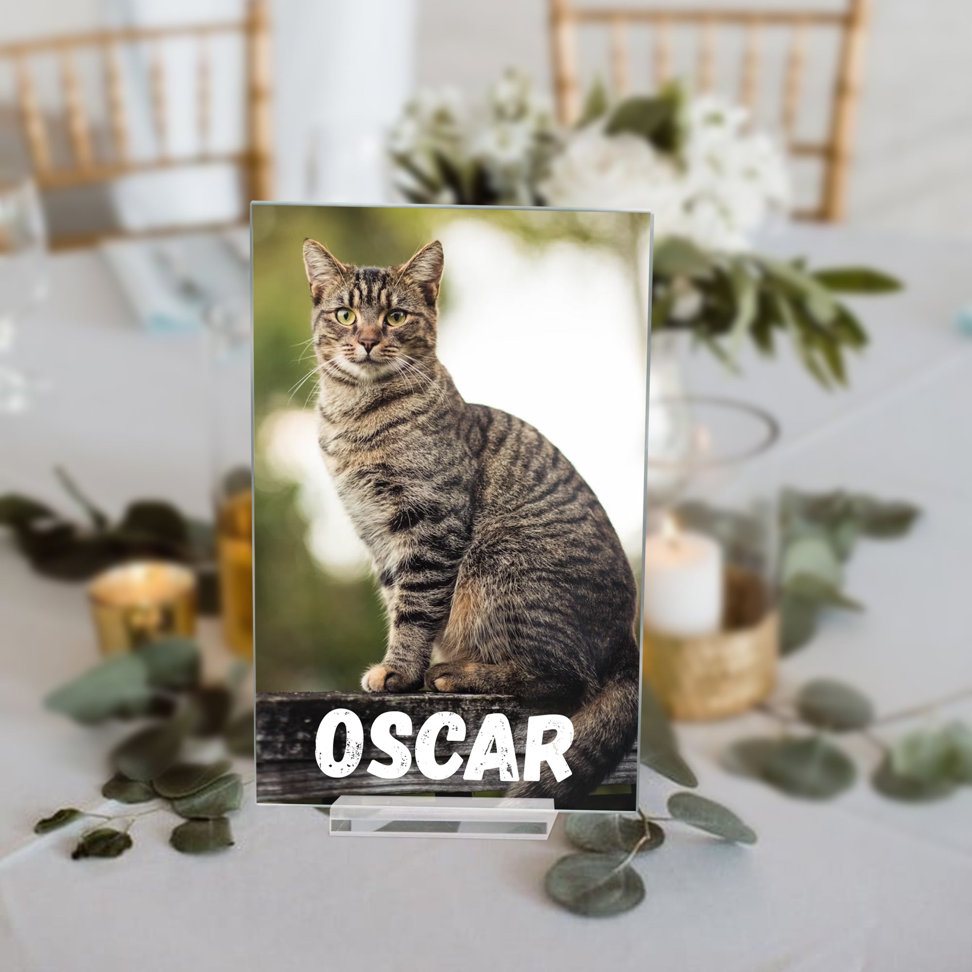 MIRACLE PRINTS Personalized Acrylic Pet Sign - Clear and Elegant Acrylic Pet Décor for Home & Office - Customizable Pet Name Sign - Perfect for Celebrating Your Furry Friend - Personalized Sign for Your Pets, Personalized 7x4.5 Inch Acrylic Sign