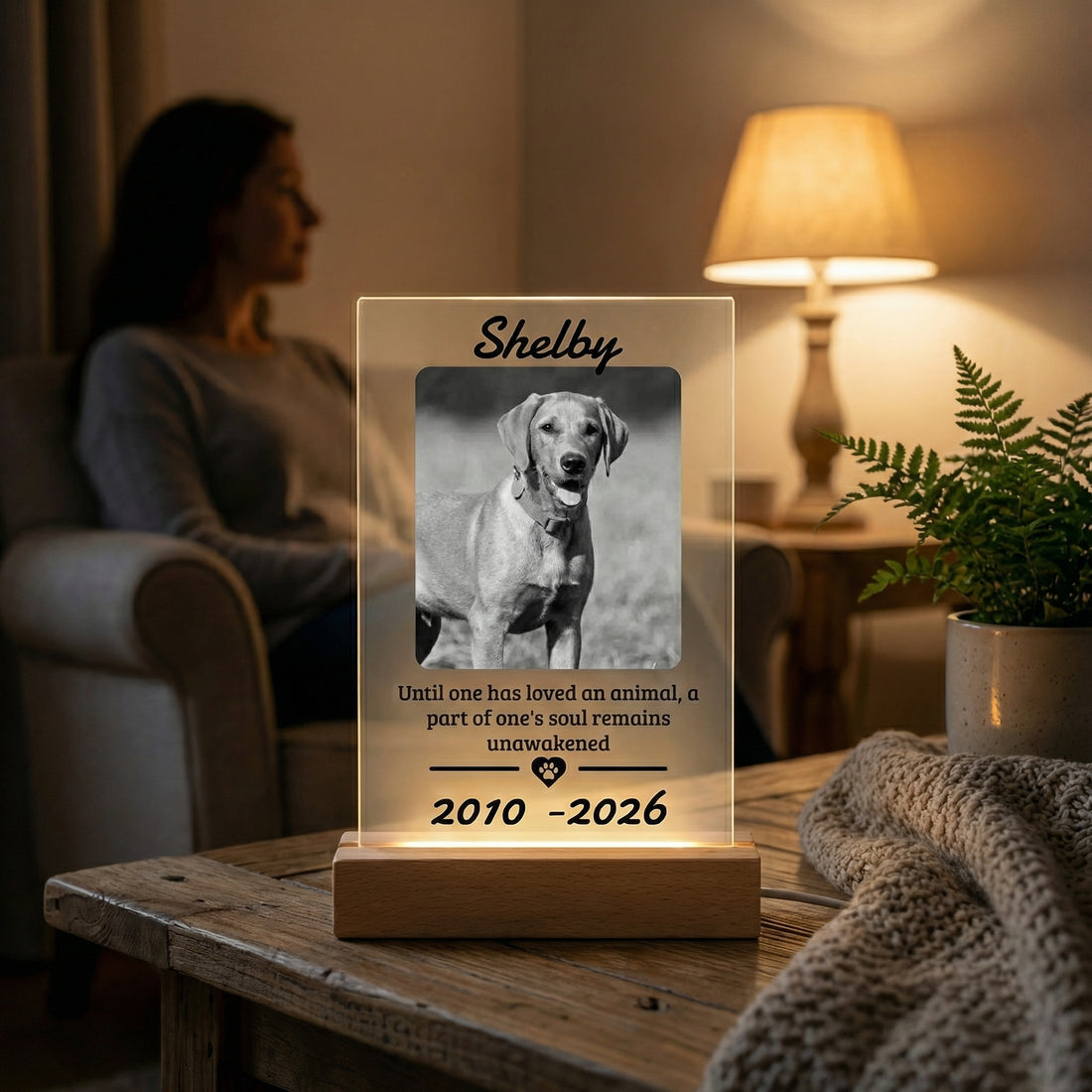 Letrero acrílico personalizado con código QR | Expositor de mesa transparente para negocios – Letrero de Wi-Fi o placa de texto personalizado