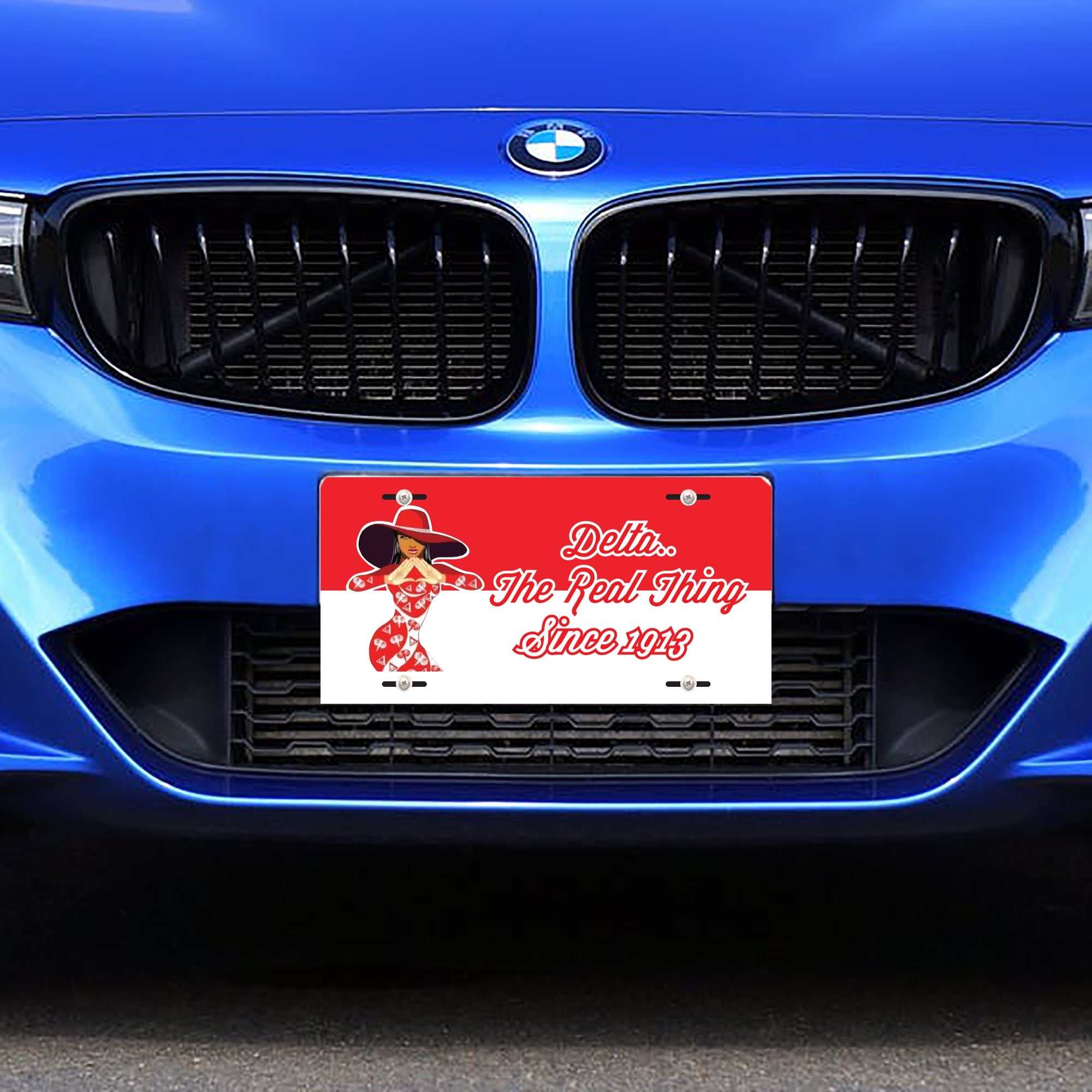 Delta Sigma Theta License Plate- Delta Vanity License Plate- Sorority Accessories Gift- Car License Plate- Car number plate